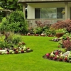 AB Sanchez Landscaping gallery