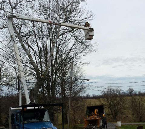 Hinman Tree Service - Collins, OH