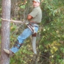 Wayne's Tree Service - Tree Service