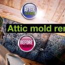 Mold Level Corporation - Mold Remediation