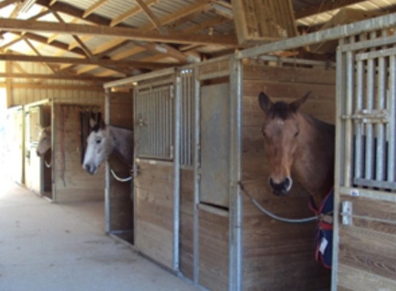 Beech Grove Stable and Kennels - Beechgrove, TN