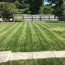 SPL Lawn Care - Arborists