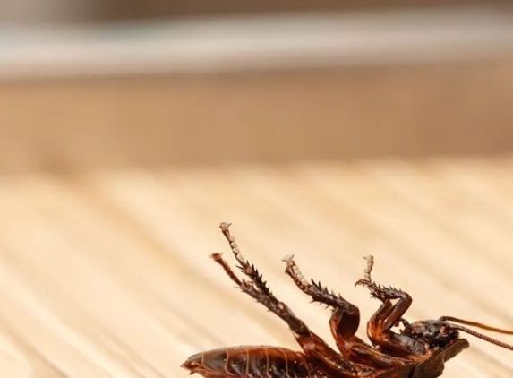 Wimmera Pest Control - Horsham, VIC