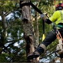 Arbor Tree Care - Tree Service