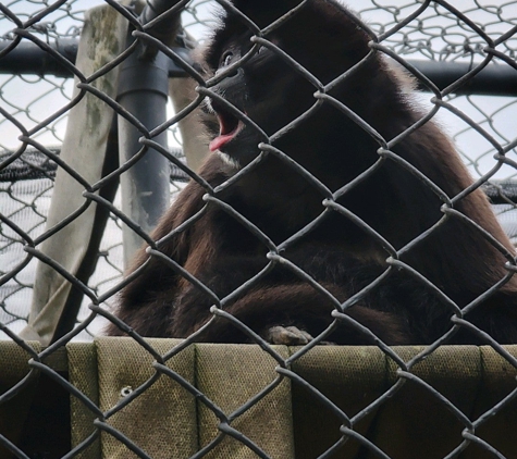 Micke Grove Zoo - Lodi, CA