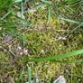 Photo #11