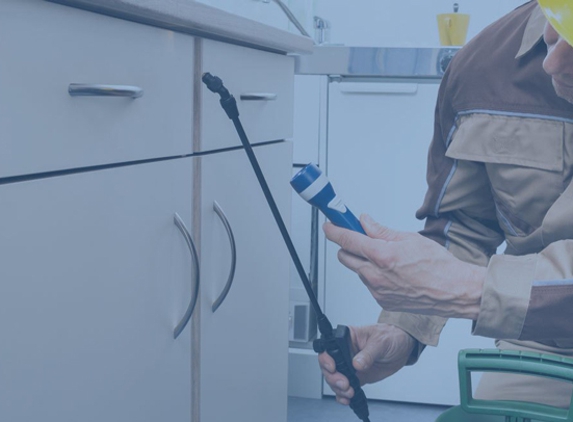 Spainy's Carpet & Pest Services - Gowrie Junction, QLD