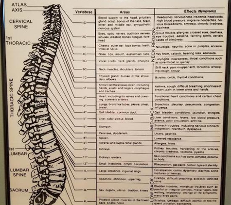 Maynard Chiropractic - Saint Joseph, MI