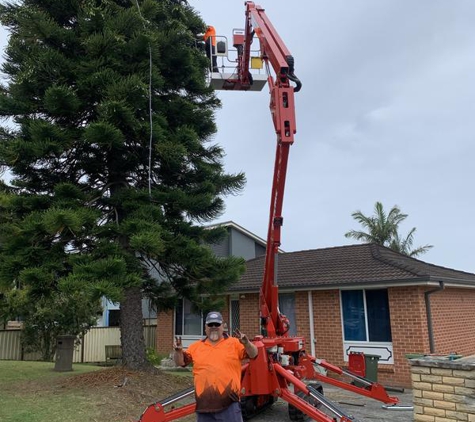 Stump Grinding Central Coast and Tree Service Pty Ltd - Umina Beach, NSW. Jamie and his high reach work platform.