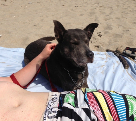 East Matunuck State Beach - Wakefield, RI