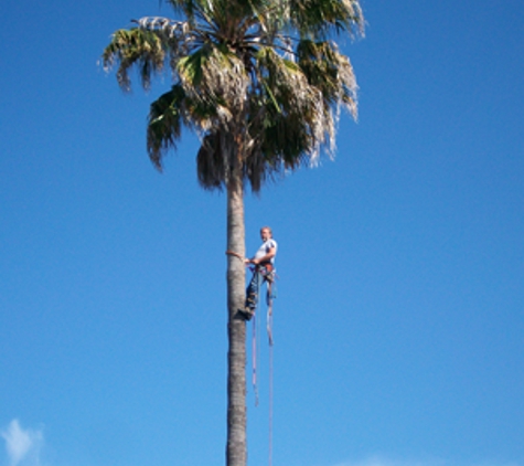 Essner Tree Service