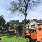 Vasquez Treeservice