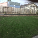 Carlos Gardening Services - Landscaping & Lawn Services