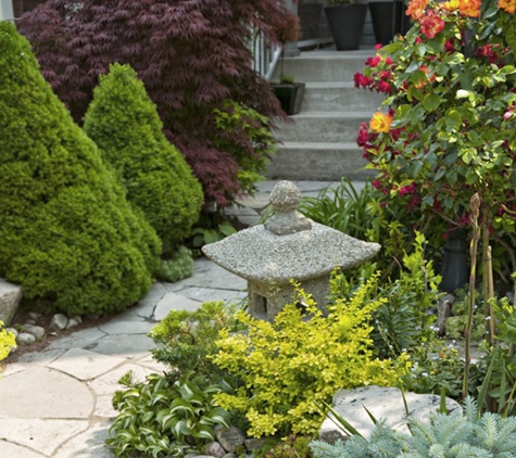 Mitch Taylor Landscape Inc - Congers, NY