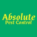 Absolute Pest Control - Termite Control