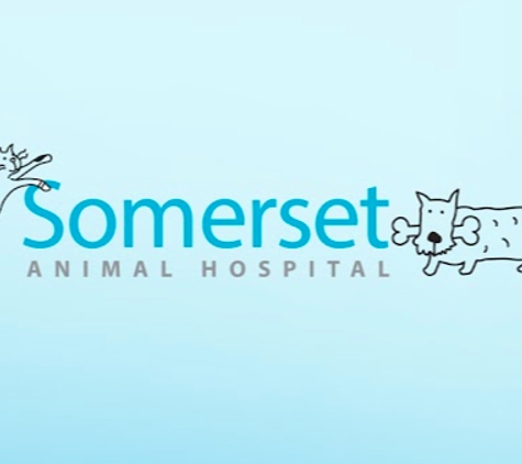 Somerset Animal