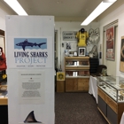 Living Sharks Museum & Research Center