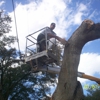 Rey Tree Service LLC gallery