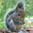 Wildlife X Team - Business Coaches & Consultants