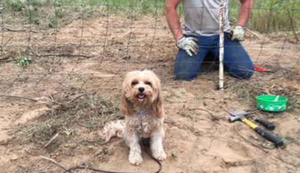 Buddy's Dog School - Harrah, OK