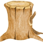 DTS Tree Stump Grinding