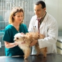 Washington County Veterinary Hospital - Howard Troob DVM