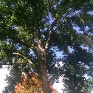 Pemberton Tree Service - south point, OH