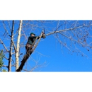 W Henry Tree Service - Tree Service