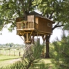 Tree-fort builders gallery