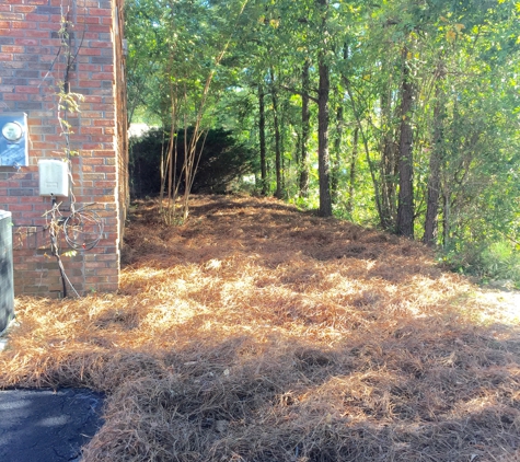 3in1 Landscape Management - Blythewood, SC