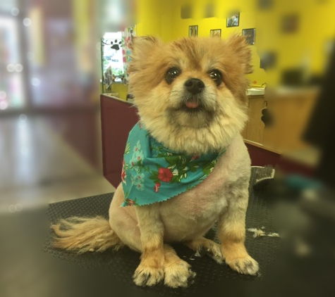 Four Paws & Claws Grooming Salon - Cleveland, OH