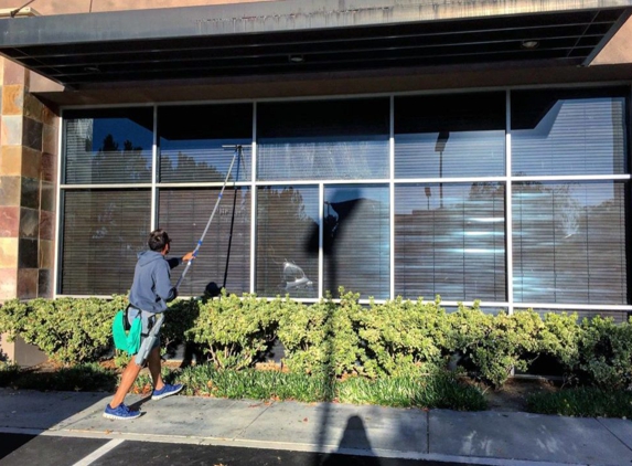 Dazzling Window Cleaning