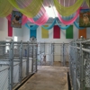 Five Star Pet Boarding gallery