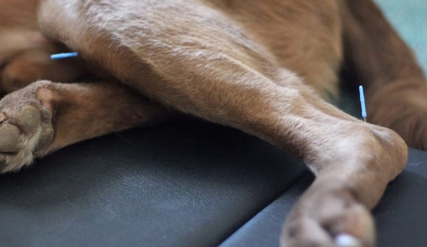 Rutherglen Veterinary Clinic - Rutherglen, VIC