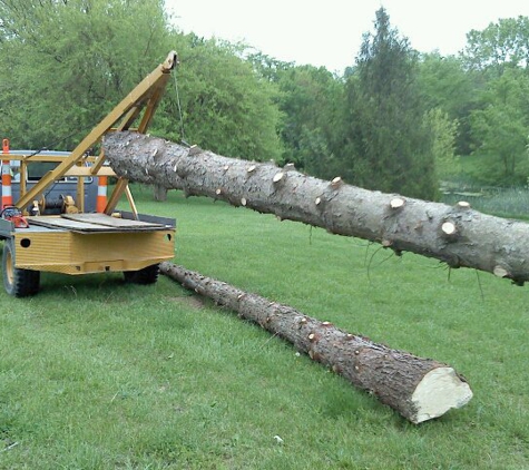 Cincinnati Tree Care - Harrison, OH