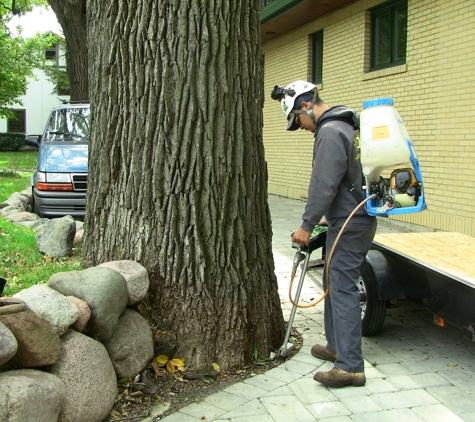 Urban Arborist - Lake Bluff, IL