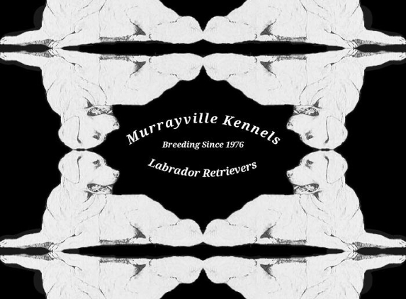 Murrayville Kennels, (American) Labrador Retrievers