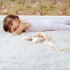 Heaven's Best Carpet Cleaning Southlake TX gallery