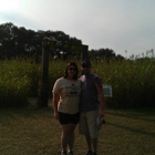 Fox Squirrel Corn Maze