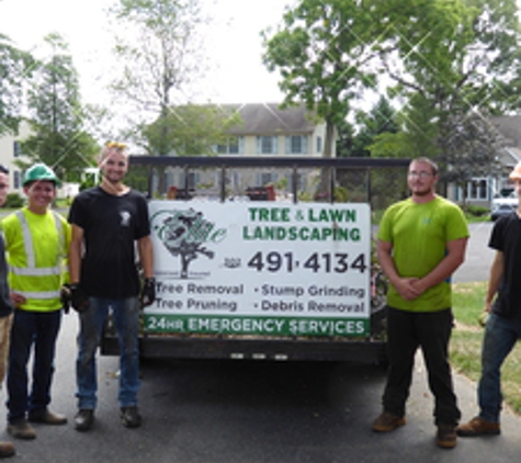 Elite Tree Lawn & Landscaping - Houston, DE