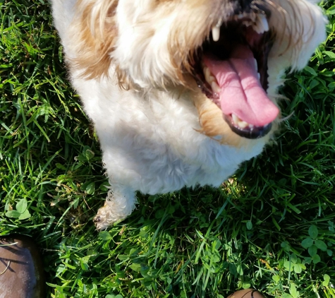 Happy Spot Pet Resort - Georgetown, KY