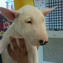 Exotic Tropical Pet World - Pet Stores