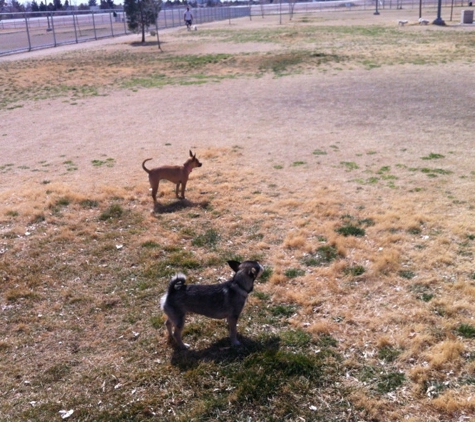 Barkin' Basin Dog Park - Las Vegas, NV