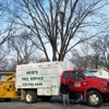 Reid's Tree Service gallery