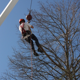 Pioneer Tree Service - West Columbia, SC