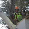 Tope's Tree Service gallery