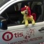 Otis Termite & Pest Control Service - Knoxville, TN
