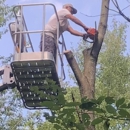 Greg's Tree Service - Landscaping & Lawn Services