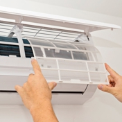 Gallery Image Number 2
