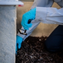 Fox Pest Control Worcester - Pet Services